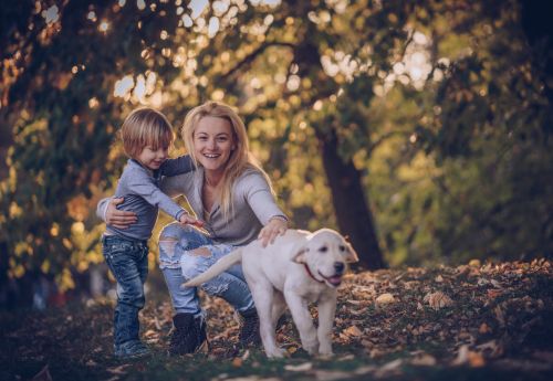 Mother and Son with Dog After Mother is Awarded Child Custody - Hampton & Royce, L.C.